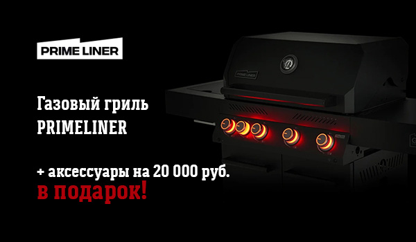 Праймлайнер + аксессуары в подарок